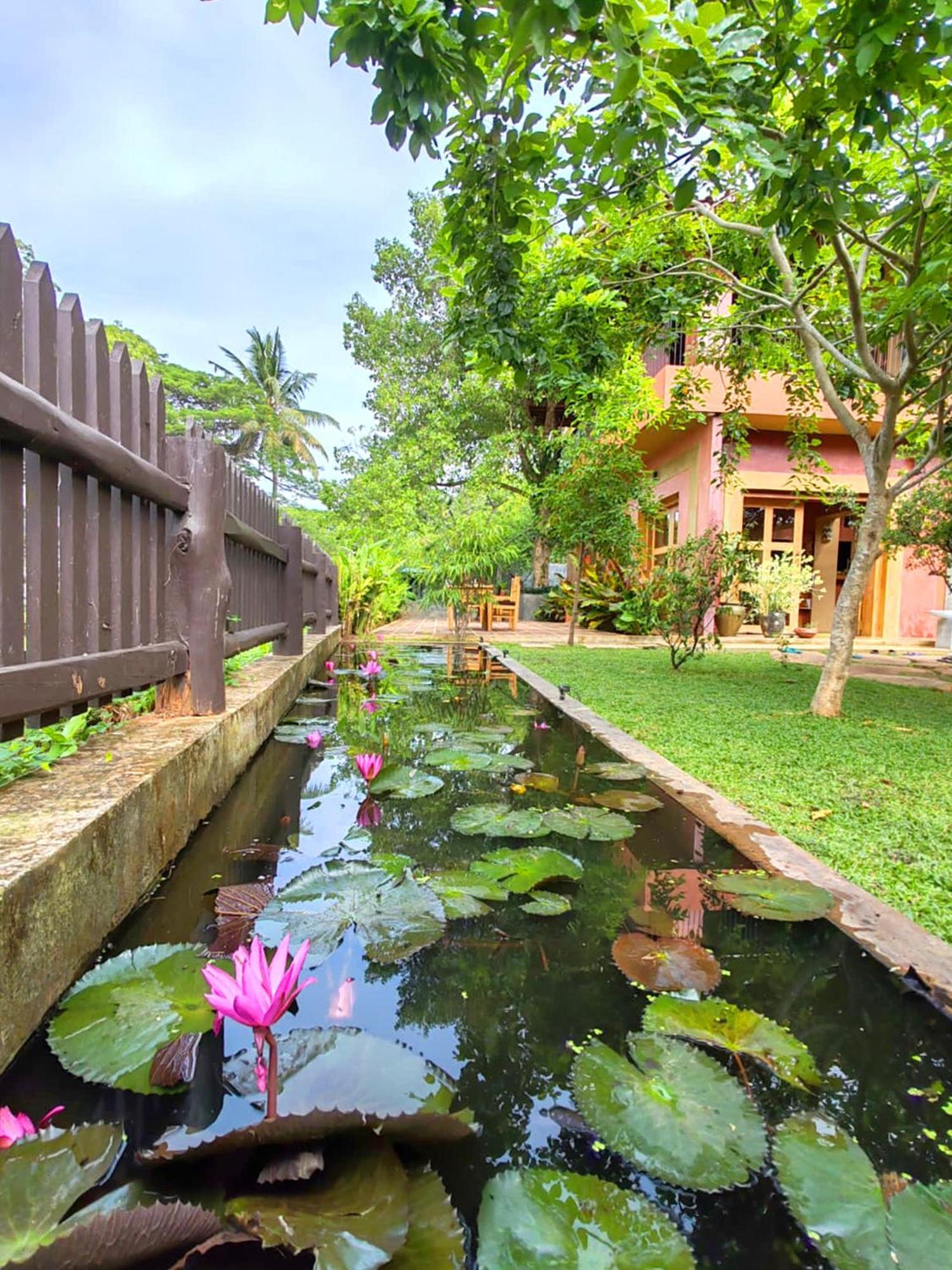 Art Yala Boutique Resort Tissamaharama Eksteriør billede