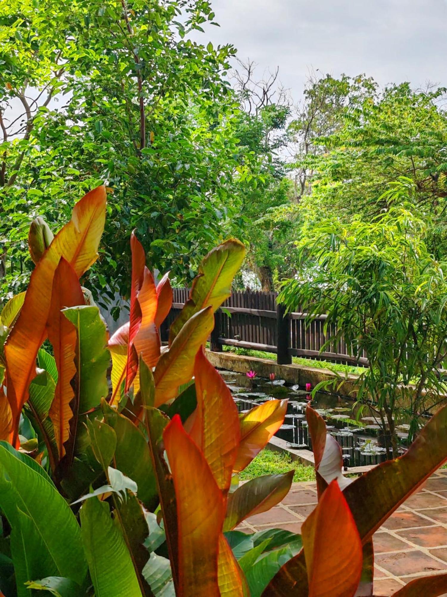 Art Yala Boutique Resort Tissamaharama Eksteriør billede