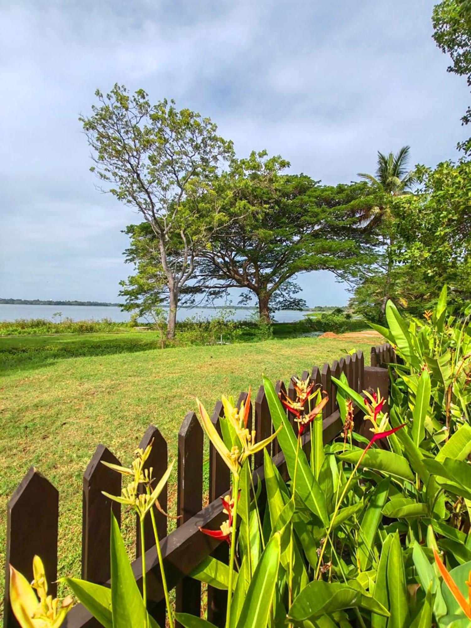 Art Yala Boutique Resort Tissamaharama Eksteriør billede