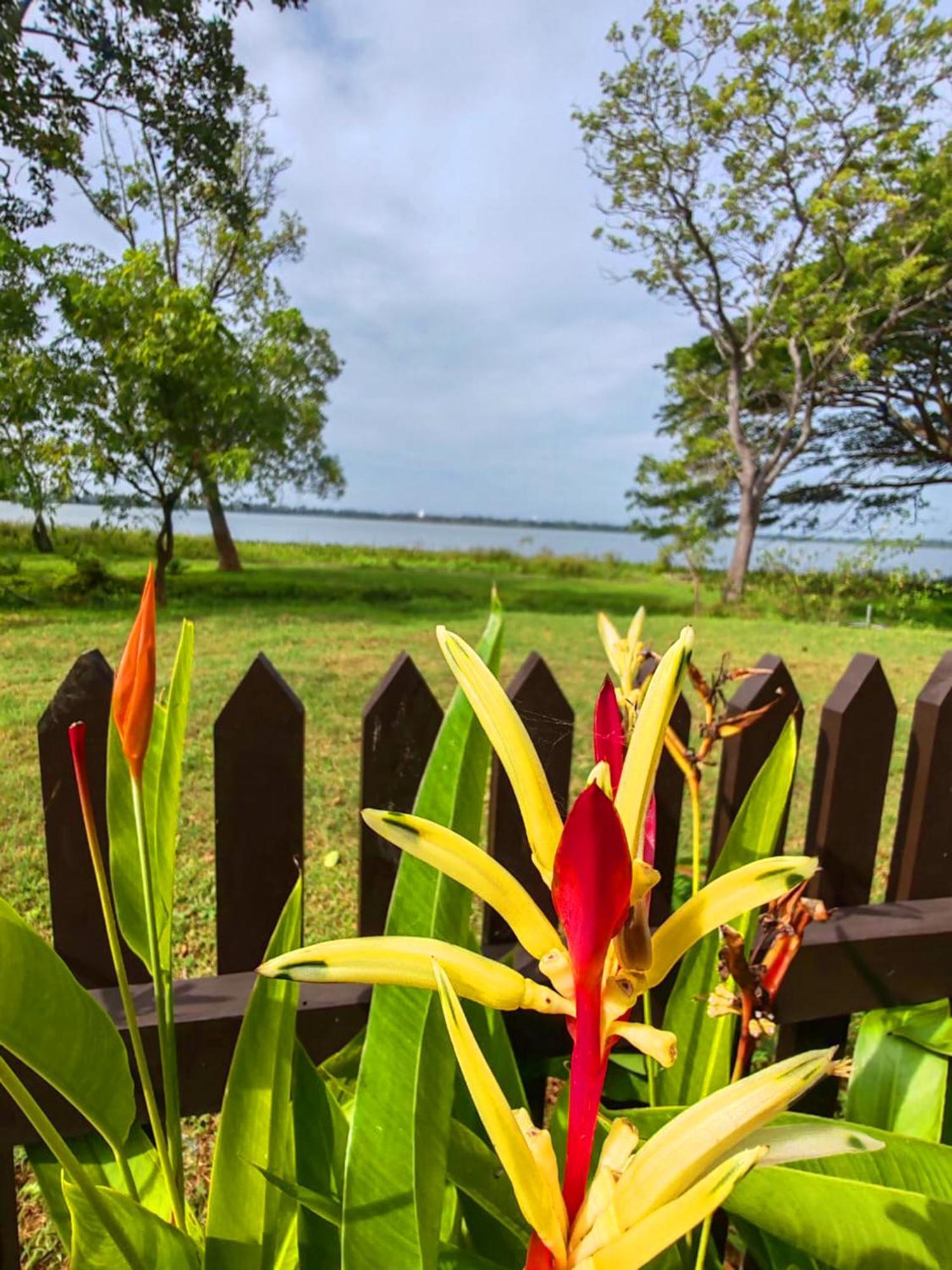 Art Yala Boutique Resort Tissamaharama Eksteriør billede